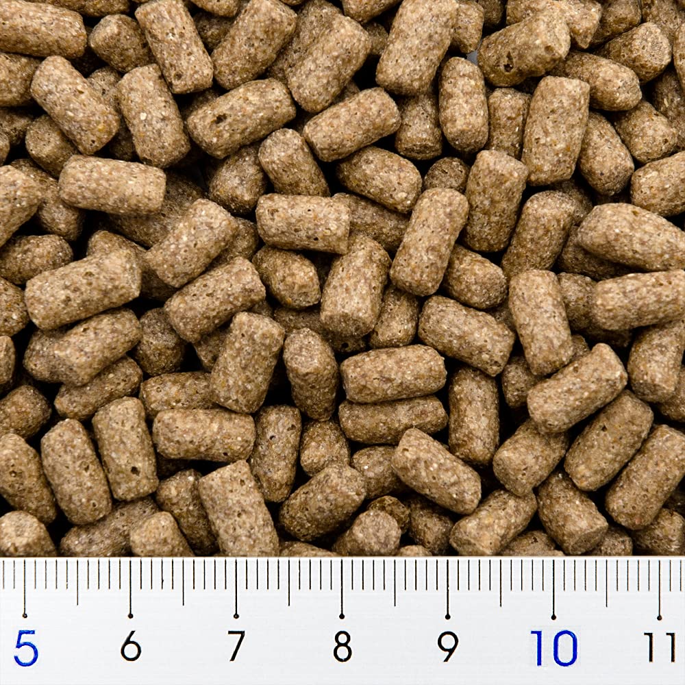 Amazon | Hikari (ヒカリ) おおきなカメのエサ 特大粒 お徳用 1kg 餌